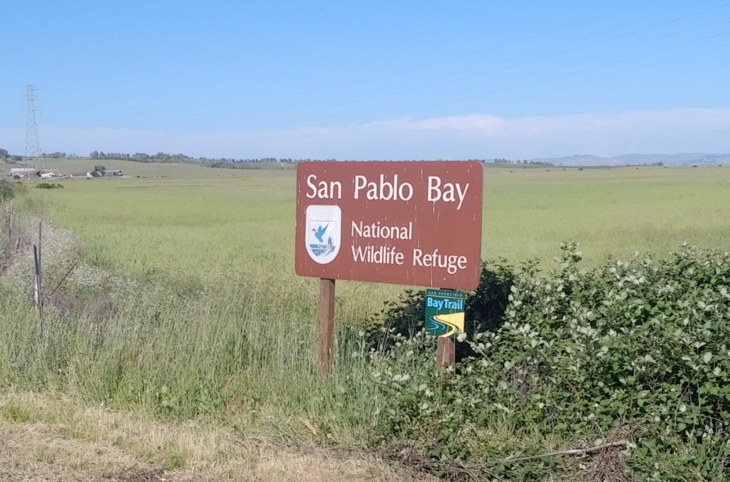 Contrasted Landscape