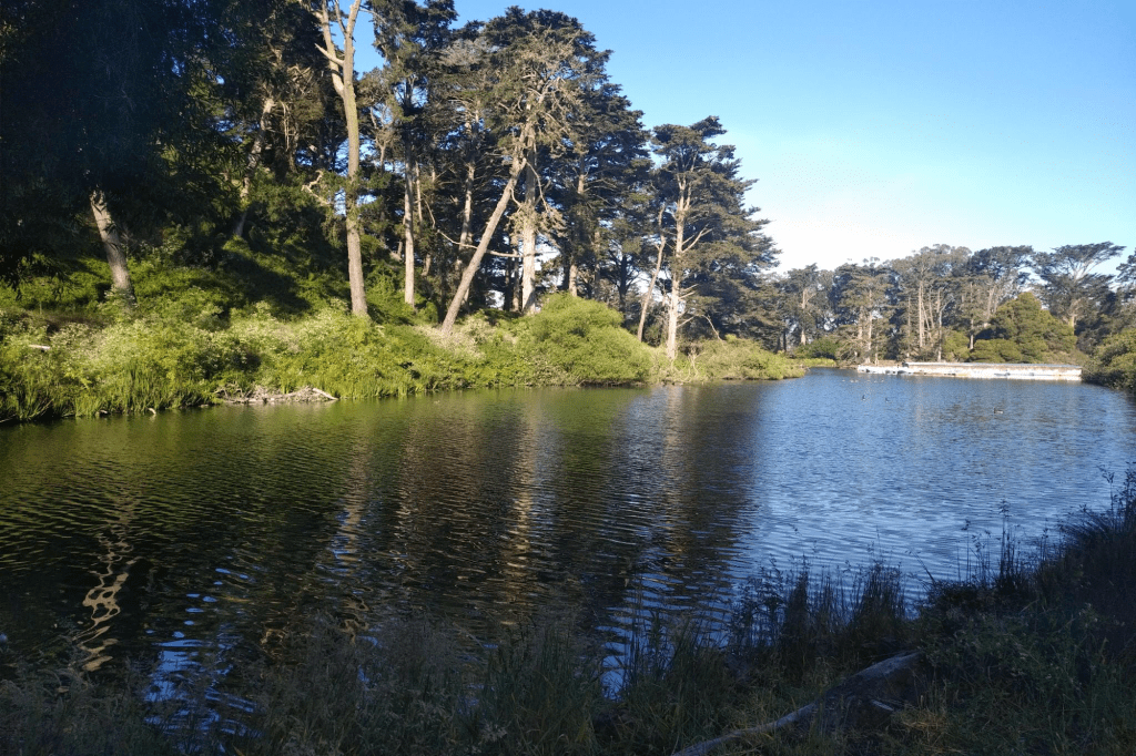 Golden Gate Park&nbsp;POTA